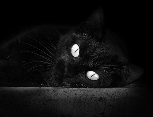 全国青少年攀岩挑战赛西安站圆满落幕，青少年攀岩比赛规则